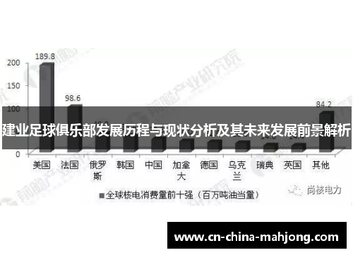 建业足球俱乐部发展历程与现状分析及其未来发展前景解析