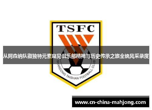 从阿森纳队徽独特元素窥见俱乐部精神与历史传承之旅全貌风采录度