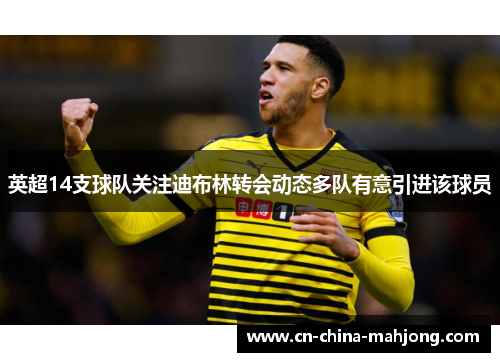 英超14支球队关注迪布林转会动态多队有意引进该球员 英超14支球队关注迪布林转会动态多队有意引进该球员