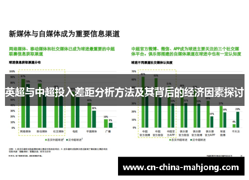 英超与中超投入差距分析方法及其背后的经济因素探讨 英超与中超投入差距分析方法及其背后的经济因素探讨