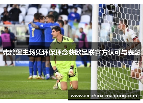 弗赖堡主场凭环保理念获欧足联官方认可与表彰 弗赖堡主场凭环保理念获欧足联官方认可与表彰