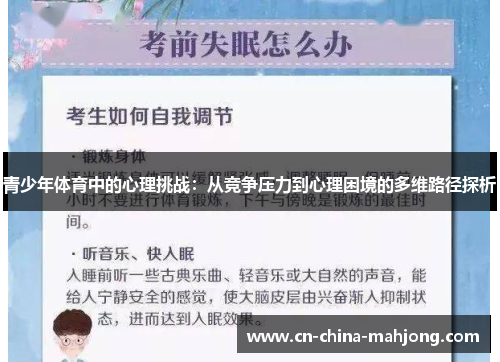 青少年体育中的心理挑战：从竞争压力到心理困境的多维路径探析