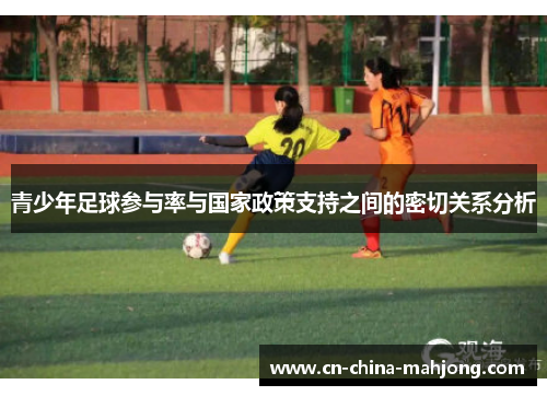 青少年足球参与率与国家政策支持之间的密切关系分析