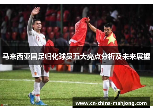 马来西亚国足归化球员五大亮点分析及未来展望